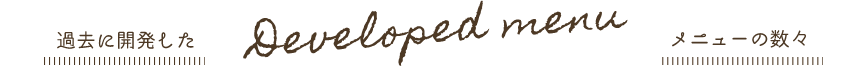 過去に開発したメニューの数々